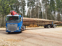 Holztransport2